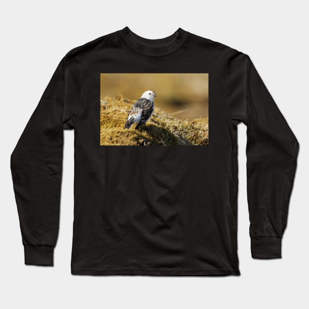 Snow bunting Long Sleeve T-Shirt by orcadia